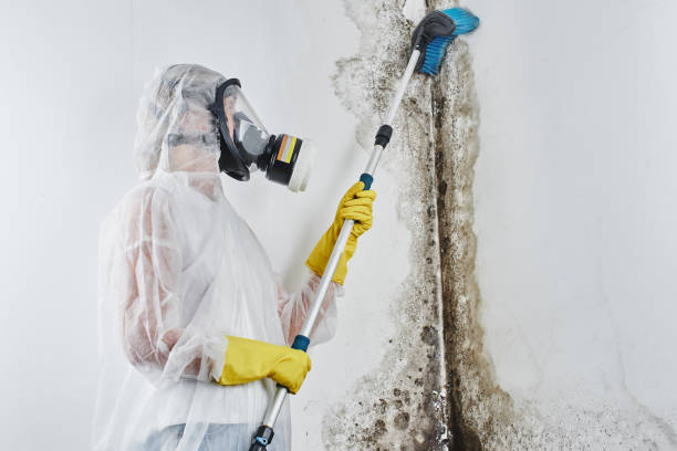 Best Mold Testing  in Lakeland South, WA