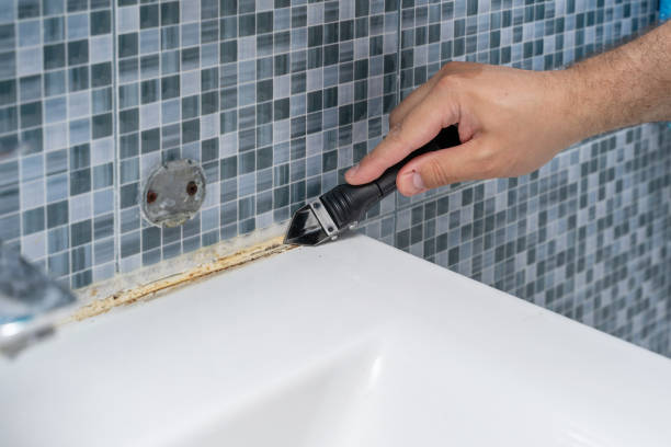 Best Attic Mold Removal  in Lakeland South, WA